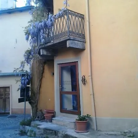 Il Glicine *